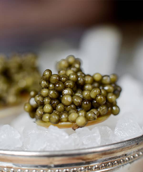 Region’s Best Caviar